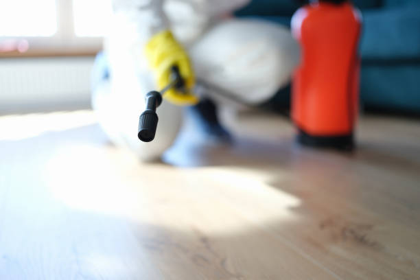 Reliable Beattyville, KY Mold Removal Solutions